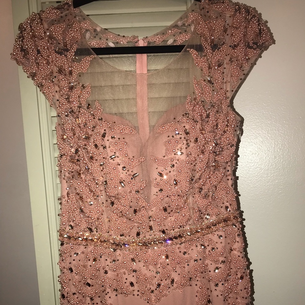 Terani Blush Pink Gown